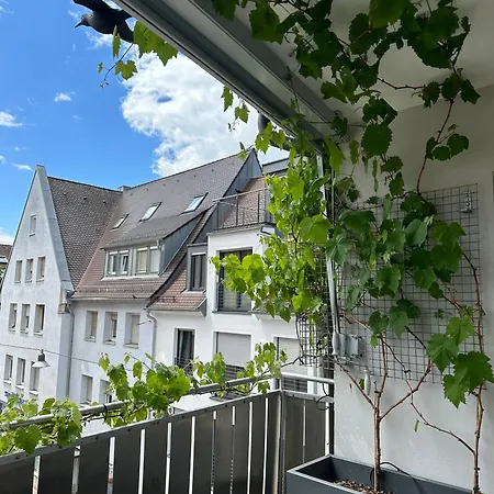 Apartment11